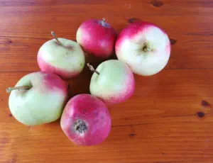 Apfel Stark Earliest