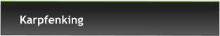Karpfenking