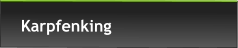 Karpfenking